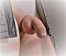 Close up., foto 461x396, 1 reacties, 7 stemmen