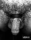 Cockring en haar, foto 1616x2046, 4 reacties, 18 stemmen