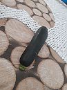 Courgette, foto 1440x1919, 6 reacties, 36 stemmen