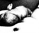 Creabea, foto 2520x2096, 0 reacties, 2 stemmen