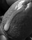 Cumshot, foto 300x375, 3 reacties, 5 stemmen
