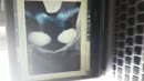 Damiwn. This you want...., film 00:00:13, 0 reacties, 1 stemmen