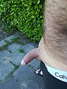 De eerste buitenfoto ...., foto 2976x3968, 1 reacties, 6 stemmen