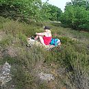 De hei op, foto 2832x2832, 11 reacties, 69 stemmen