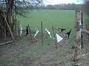 De kast opgeruimd, weg ermee., foto 1600x1200, 20 reacties, 67 stemmen