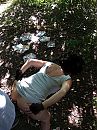 De melle, foto 1536x2048, 20 reacties, 123 stemmen