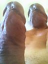 Dick Head, foto 1140x1520, 0 reacties, 2 stemmen