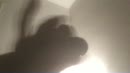 Druppelfoto..., film 00:00:14, 1 reacties, 4 stemmen