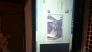 Dumbo still only dreamimg, film 00:00:12, 1 reacties, 1 stemmen