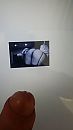 DutchCouple69, foto 2250x4000, 0 reacties, 1 stemmen