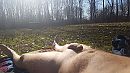 Echt genieten weer, foto 4000x2250, 5 reacties, 26 stemmen