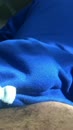 Een hele geile goedemorgen..., film 00:00:04, 0 reacties, 15 stemmen