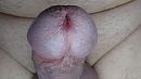 Eikel goed zo, foto 3984x2240, 0 reacties, 0 stemmen
