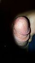 Eikel..., foto 2250x4000, 2 reacties, 4 stemmen