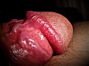 Eikel., foto 2048x1536, 1 reacties, 2 stemmen
