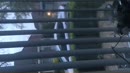 En dsn een tegemoet, film 00:00:15, 0 reacties, 2 stemmen