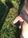 En met het vel over de oren, foto 2976x3968, 2 reacties, 12 stemmen