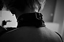 Even de kinky toer op...., foto 4000x2636, 4 reacties, 34 stemmen