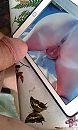 Even genieten, foto 1536x2560, 8 reacties, 14 stemmen