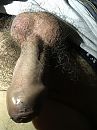 Even me broek los, foto 3000x4000, 3 reacties, 8 stemmen