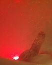 Even ontspannen, foto 2151x2644, 0 reacties, 5 stemmen