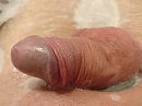 Even ontspannen..., foto 4000x3000, 1 reacties, 5 stemmen