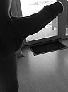 Feeling nasty....., foto 1757x2354, 0 reacties, 4 stemmen