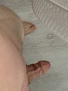 Ff afkoelen ;-), foto 3000x4000, 7 reacties, 21 stemmen