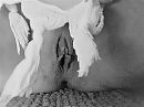 Fijne zondag!, foto 2576x1932, 32 reacties, 190 stemmen