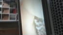 For sweebee with love, film 00:00:23, 2 reacties, 3 stemmen