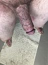 Fucking geil vandaag, foto 3000x4000, 1 reacties, 2 stemmen