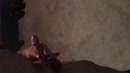 Geil van paar mooie borsten, film 00:00:27, 4 reacties, 19 stemmen