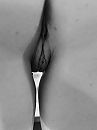Geil..., foto 2736x3648, 11 reacties, 59 stemmen