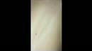 Geile MILF, film 00:00:00, 6 reacties, 92 stemmen