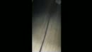 Heerlijke zo'n slet als vrouw, film 00:00:00, 11 reacties, 91 stemmen