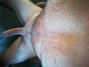 Getting hard, foto 1024x768, 3 reacties, 5 stemmen