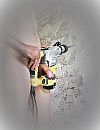 Gewone versie van, foto 806x1044, 3 reacties, 5 stemmen