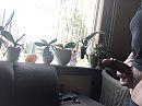 Gisteren ramen gewassen, foto 3088x2320, 0 reacties, 3 stemmen