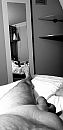 Goedemorgen, foto 1944x4000, 1 reacties, 1 stemmen