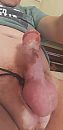 Good feeling, foto 1944x4000, 0 reacties, 3 stemmen