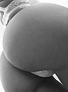Goooodmorning to you !, foto 1536x2048, 44 reacties, 156 stemmen