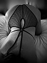 Happy birthday, foto 3000x4000, 9 reacties, 91 stemmen