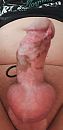 Hard by ism, foto 1944x4000, 0 reacties, 1 stemmen
