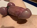 Hard en strak., foto 4000x3000, 8 reacties, 12 stemmen