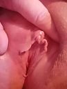 Harde clit, foto 2736x3648, 16 reacties, 73 stemmen