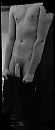 Harde pik, foto 1558x3675, 1 reacties, 3 stemmen