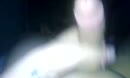 Heerlijke mensen, film 00:00:21, 2 reacties, 11 stemmen