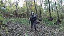 Het bos in, foto 960x540, 2 reacties, 6 stemmen