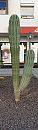 Holiday, foto 815x2769, 6 reacties, 27 stemmen