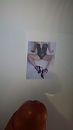 Hotgirl2019, foto 2250x4000, 0 reacties, 0 stemmen